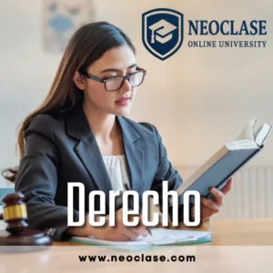 DE838 DERECHO INTERNACIONAL PUBLICO